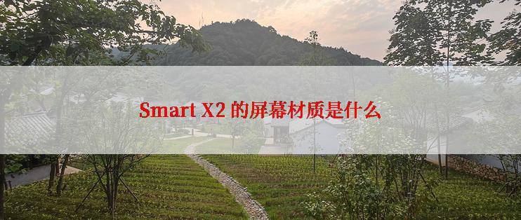 Smart X2 的屏幕材质是什么