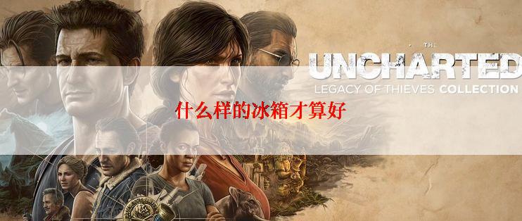 什么样的冰箱才算好