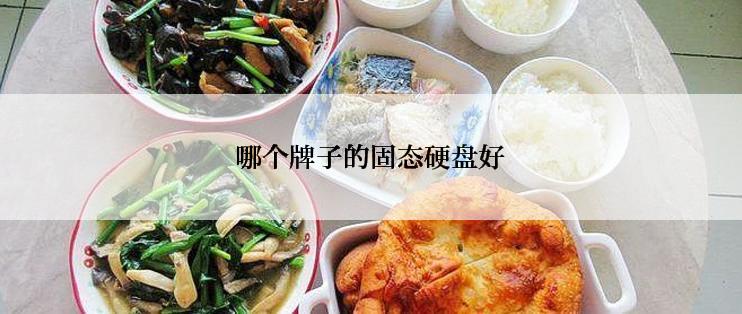 哪个牌子的固态硬盘好