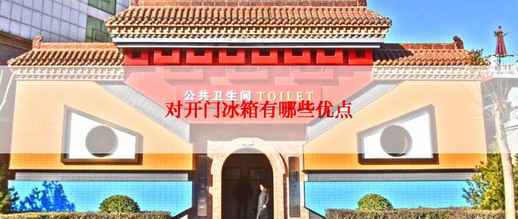 对开门冰箱有哪些优点
