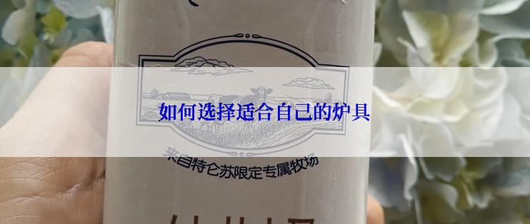 如何选择适合自己的炉具