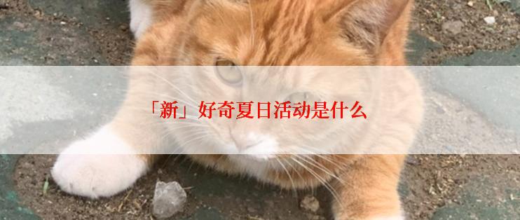 「新」好奇夏日活动是什么