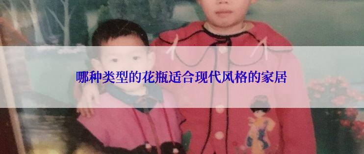 哪种类型的花瓶适合现代风格的家居