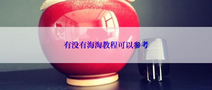 有没有海淘教程可以参考