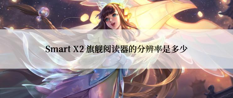 Smart X2 旗舰阅读器的分辨率是多少