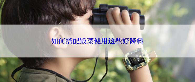 如何搭配饭菜使用这些好酱料