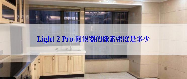 Light 2 Pro 阅读器的像素密度是多少