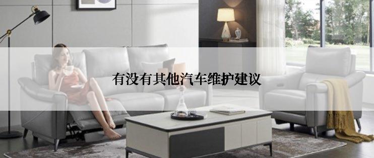 有没有其他汽车维护建议