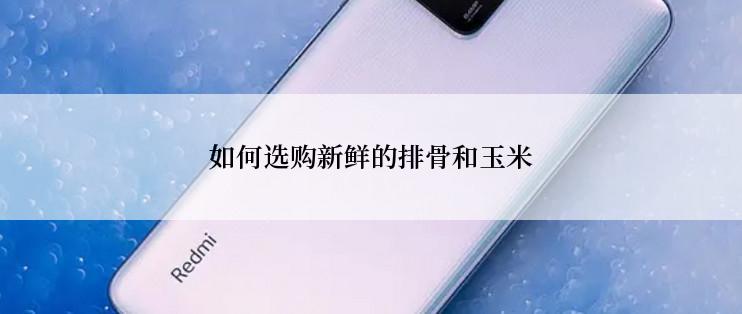 如何选购新鲜的排骨和玉米
