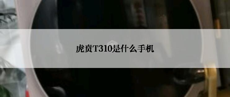 虎贲T310是什么手机