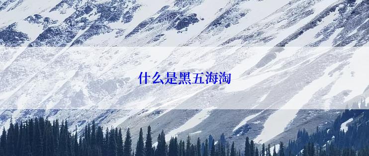 什么是黑五海淘