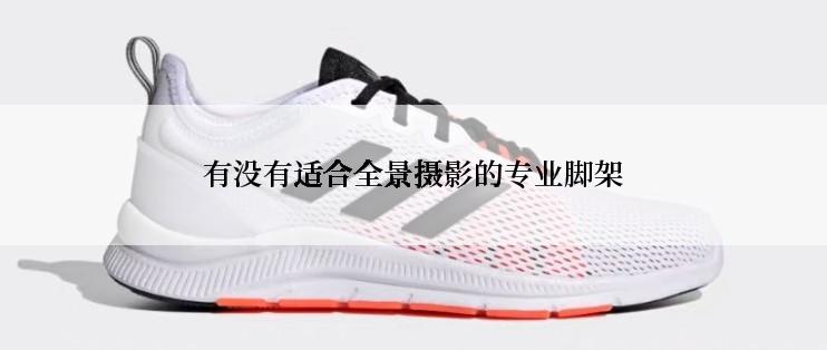 有没有适合全景摄影的专业脚架
