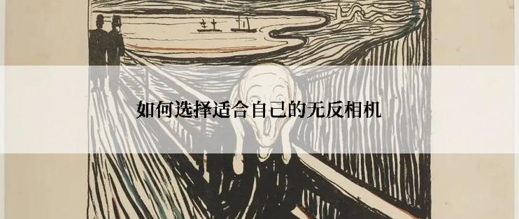如何选择适合自己的无反相机