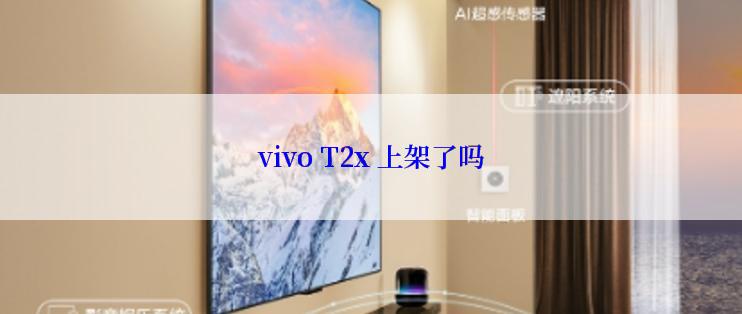 vivo T2x 上架了吗