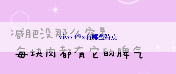 vivo T2x有哪些特点