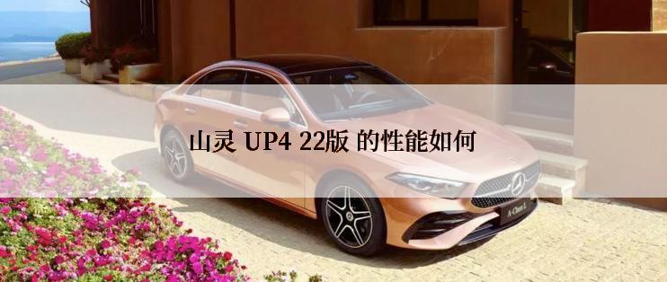 山灵 UP4 22版 的性能如何