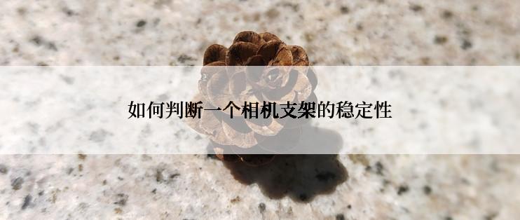 如何判断一个相机支架的稳定性