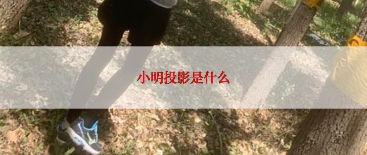 小明投影是什么
