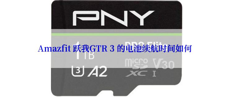 Amazfit 跃我GTR 3 的电池续航时间如何