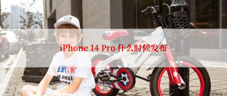 iPhone 14 Pro 什么时候发布