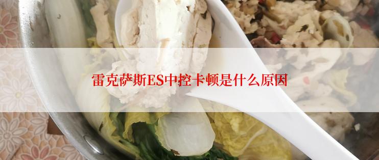 雷克萨斯ES中控卡顿是什么原因