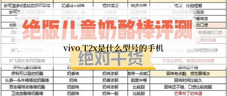 vivo T2x是什么型号的手机