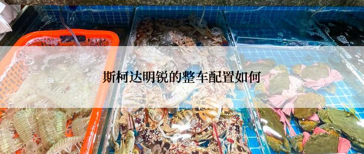 斯柯达明锐的整车配置如何