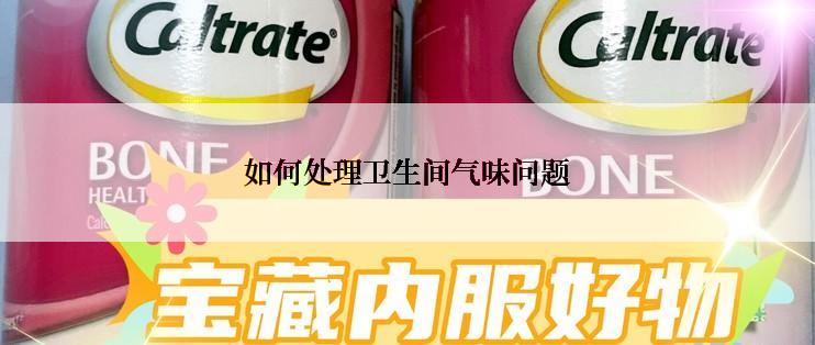 如何处理卫生间气味问题