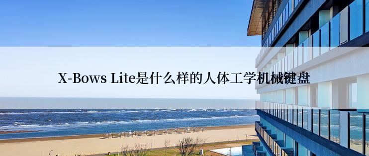 X-Bows Lite是什么样的人体工学机械键盘