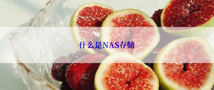 什么是NAS存储
