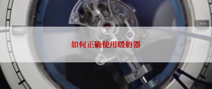 如何正确使用暖奶器