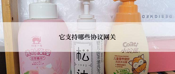 它支持哪些协议网关