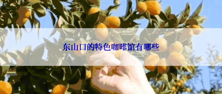 东山口的特色咖啡馆有哪些