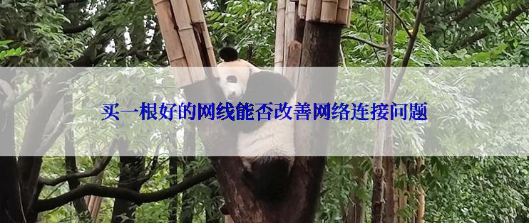 买一根好的网线能否改善网络连接问题