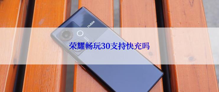 荣耀畅玩30支持快充吗