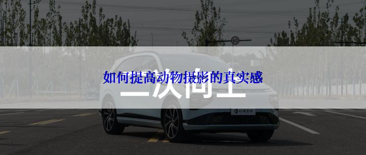 如何提高动物摄影的真实感