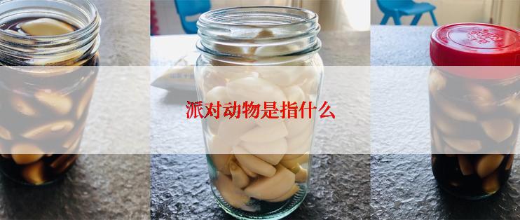 派对动物是指什么