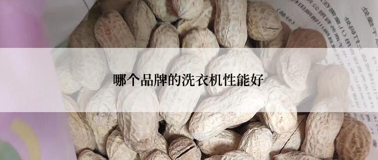哪个品牌的洗衣机性能好