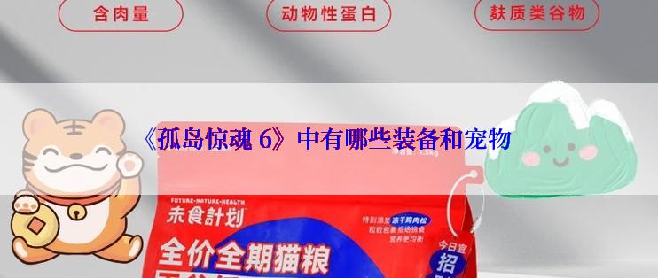 《孤岛惊魂 6》中有哪些装备和宠物