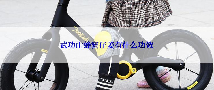 武功山蜂蜜仔姜有什么功效