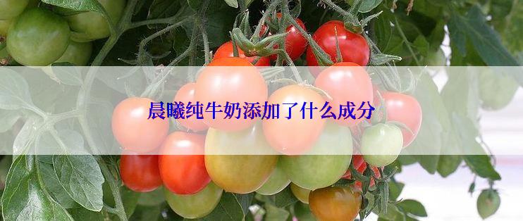 晨曦纯牛奶添加了什么成分