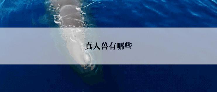 真人兽有哪些