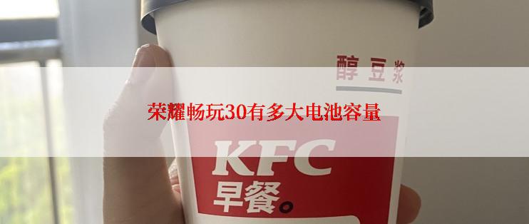 荣耀畅玩30有多大电池容量