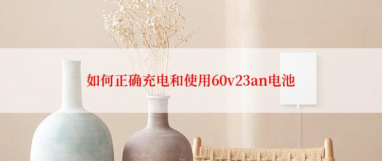 如何正确充电和使用60v23an电池