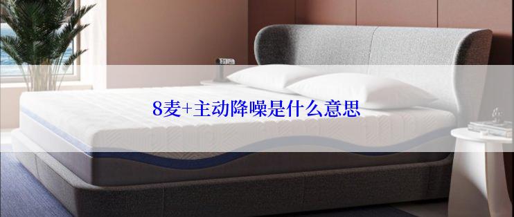 8麦+主动降噪是什么意思