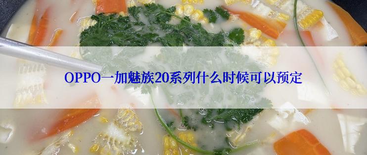 OPPO一加魅族20系列什么时候可以预定