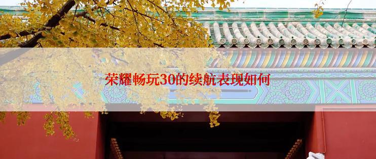 荣耀畅玩30的续航表现如何