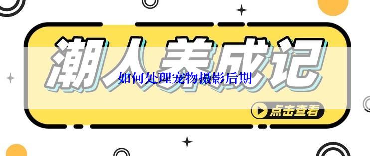 如何处理宠物摄影后期