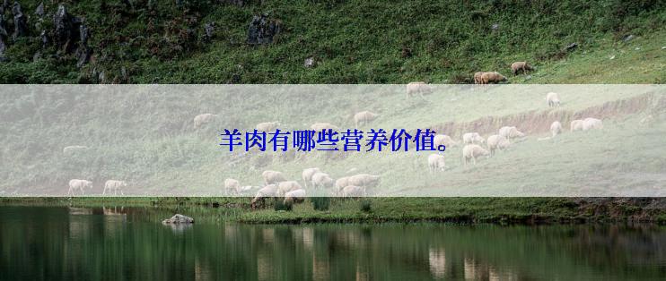 羊肉有哪些营养价值。