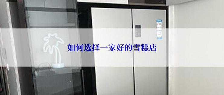 如何选择一家好的雪糕店